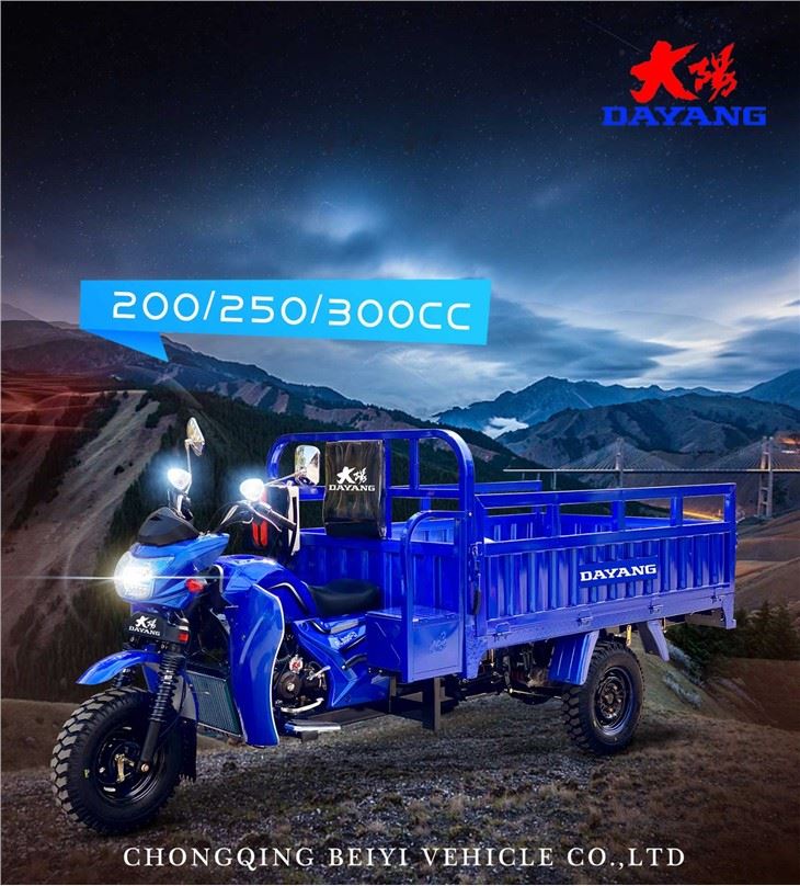 300cc Cargo Tricycle With Mudguard