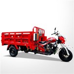 300cc 3 पहियों कार्गो फार्म