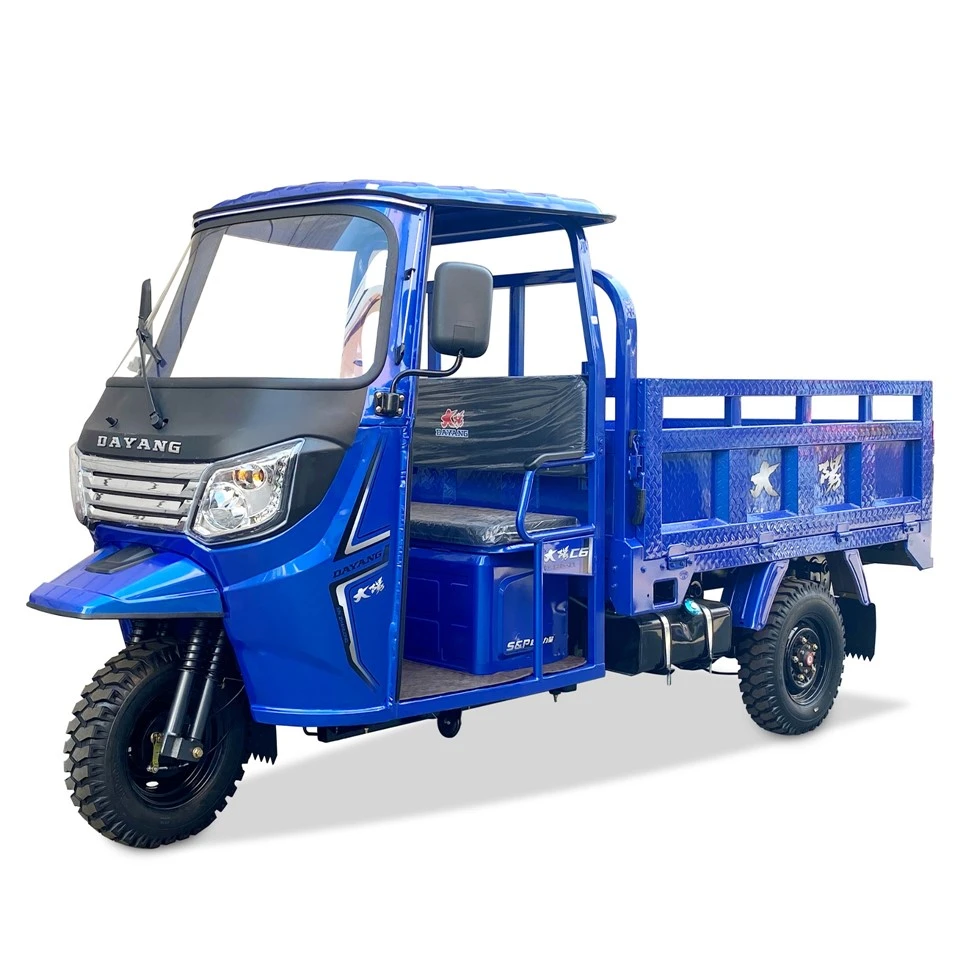 250cc पेट्रोल तीन व्हीलर मोटर फार्म