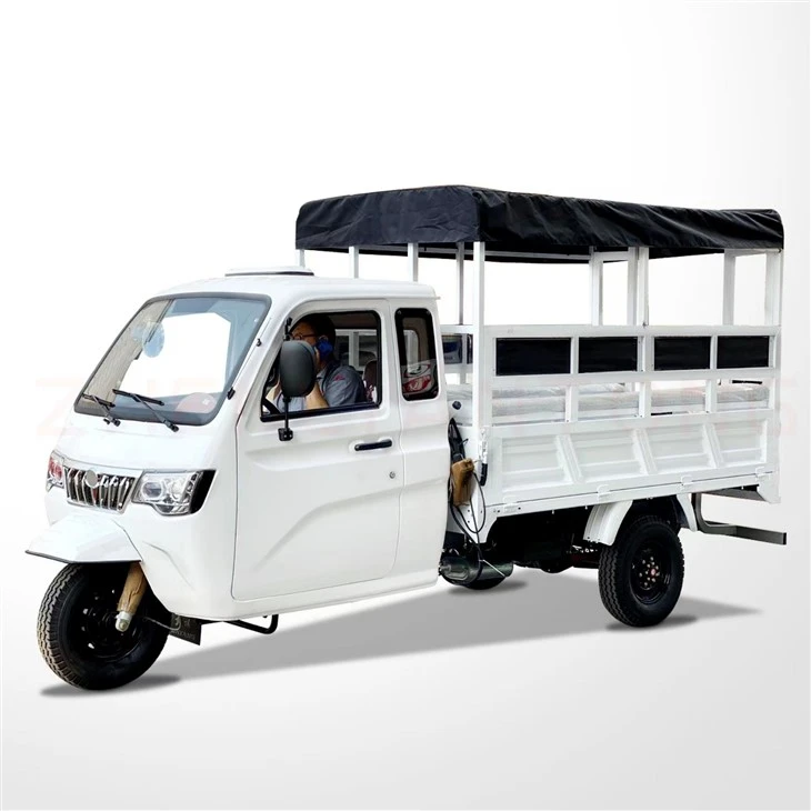 DY-P2 Enclosed Cabin And Heavy Loading Cargo Tricycle With Plastic Cargo Cover