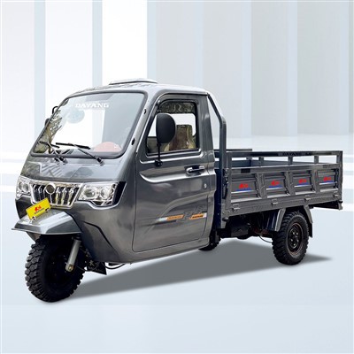 खेती की मोटरसाइकिल के लिए इंजन 250cc वॉटर-कूलिंग ट्राइसाइकिल